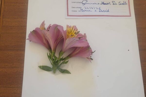 WhatsApp Image 2026-04-27 at 15.14.45 (3)