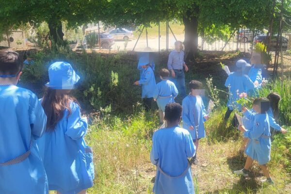 WhatsApp Image 2026-04-27 at 15.14.45 (6)