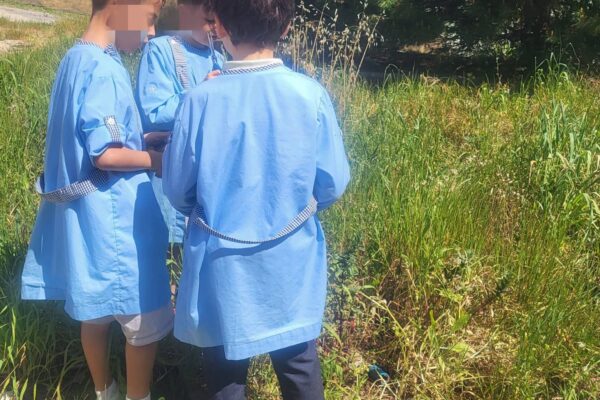 WhatsApp Image 2026-04-27 at 15.14.45