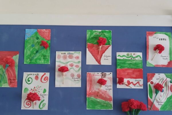 WhatsApp Image 2026-04-27 at 15.14.47 (1)